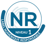 NR level 1